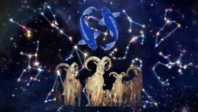 حظك اليوم وتوقعات الأبراج اليومية لبرجك