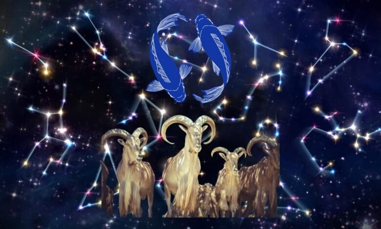 حظك اليوم وتوقعات الأبراج اليومية لبرجك