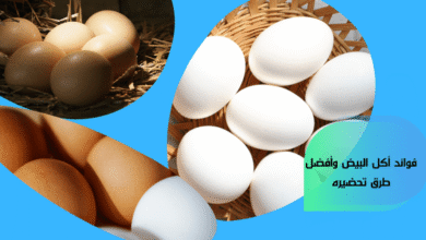 فوائد أكل البيض وأفضل طرق تحضيره