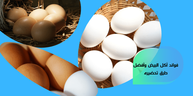فوائد أكل البيض وأفضل طرق تحضيره