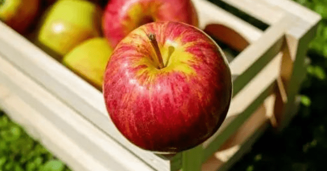 تفاحة ستغير حياتك : لاحظ تأثيرها على جسمك ولياقتك