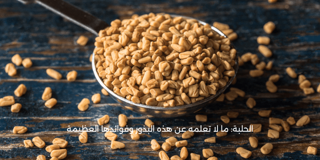 الحلبة: ما لا تعلمه عن هذه البذور وفوائدها العظيمة