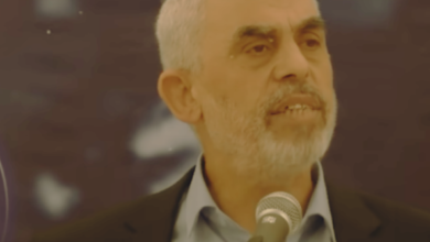 القضاء على حماس أو القضاء على الأحياء