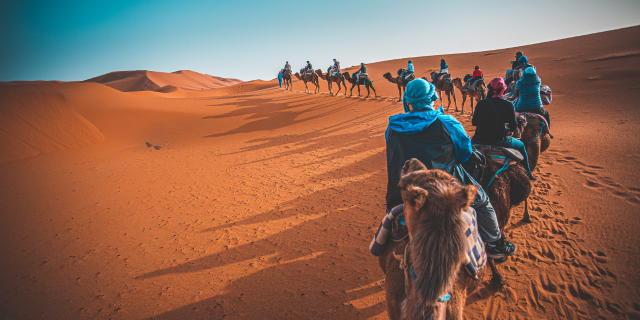 حياة البادية في المملكة العربية السعودية