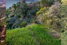 مزايا السياحة في الجبل الأخضر في سلطنة عُمان: جنة فوق السحاب