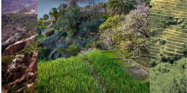 مزايا السياحة في الجبل الأخضر في سلطنة عُمان: جنة فوق السحاب