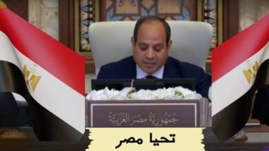 قراءة في خطاب الرئيس المصري السيسي الأخير: رسائل داخلية وخارجية