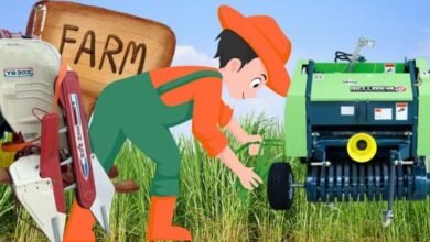 زراعة الأعلاف في عمان