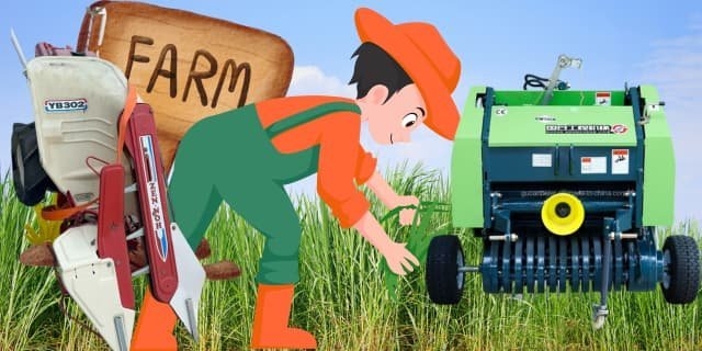 زراعة الأعلاف في عمان