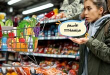 ارتفاع أسعار الغذاء في العالم العربي: أسباب الظاهرة وتداعياتها الاقتصادية