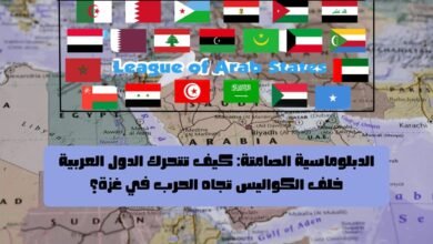 الدبلوماسية الصامتة: كيف تتحرك الدول العربية خلف الكواليس تجاه الحرب في غزة؟