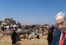 إبادة جماعية في غزة: هذا ما نراه الآن