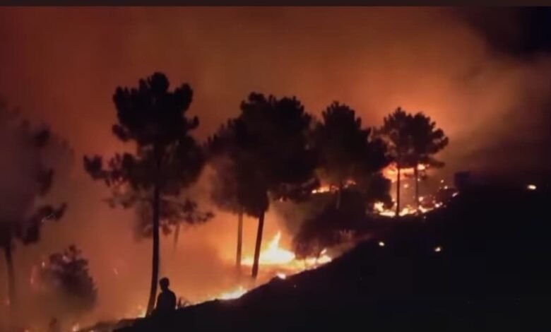 فوضى حرائق الغابات تضرب جنوب إسبانيا: طريفة تحت الحصار