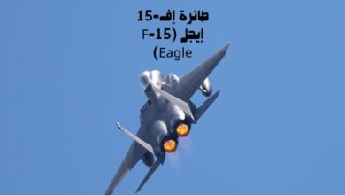 طائرة إف-15 إيجل (F-15 Eagle)