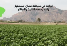 الزراعة في سلطنة عمان: مستقبل واعد يدعمه التاريخ والابتكار