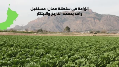 الزراعة في سلطنة عمان: مستقبل واعد يدعمه التاريخ والابتكار