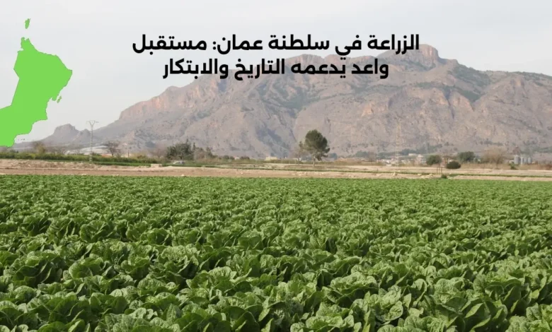 الزراعة في سلطنة عمان: مستقبل واعد يدعمه التاريخ والابتكار